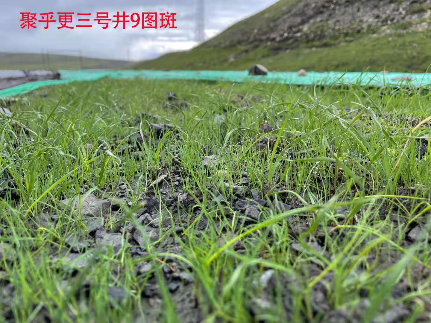 微信图片_202107131923216.jpg