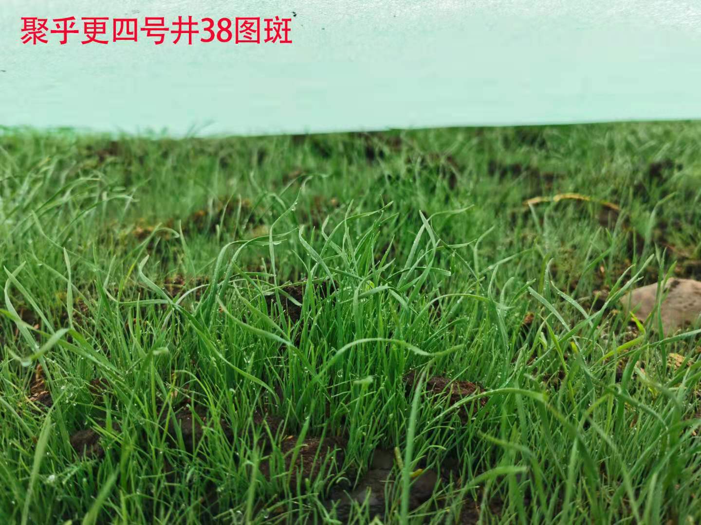 微信图片_202107131923215.jpg