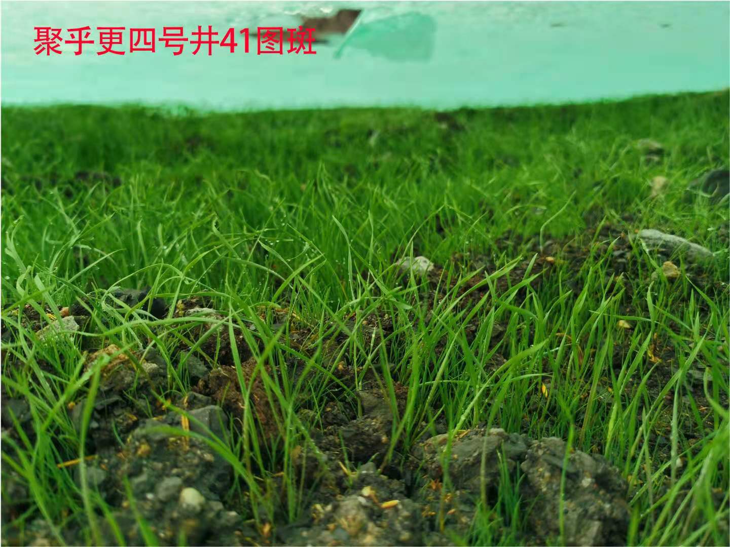 微信图片_202107131923218.jpg