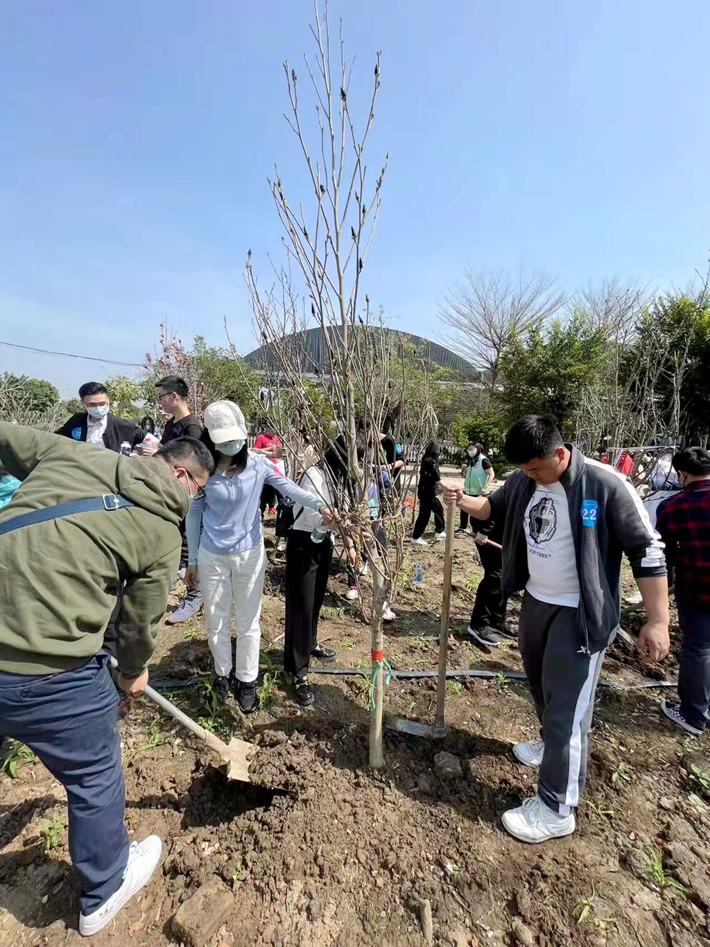 中煤江南团委举行“同心荟翠，绿满珠江”主体团日活动3.jpg