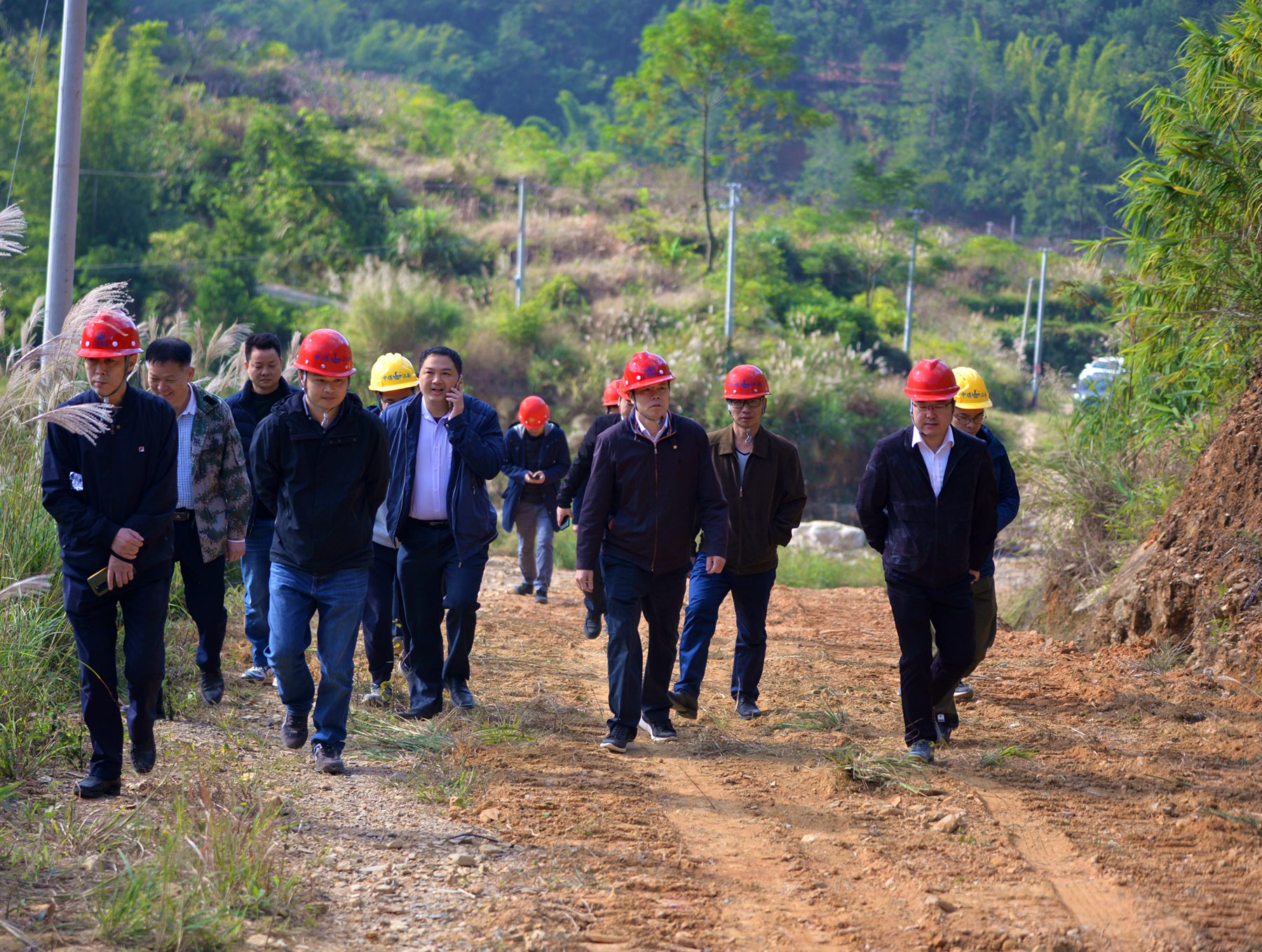 图片4  刘金森带队到信宜渤秋公路生态修复工程项目检查.jpg