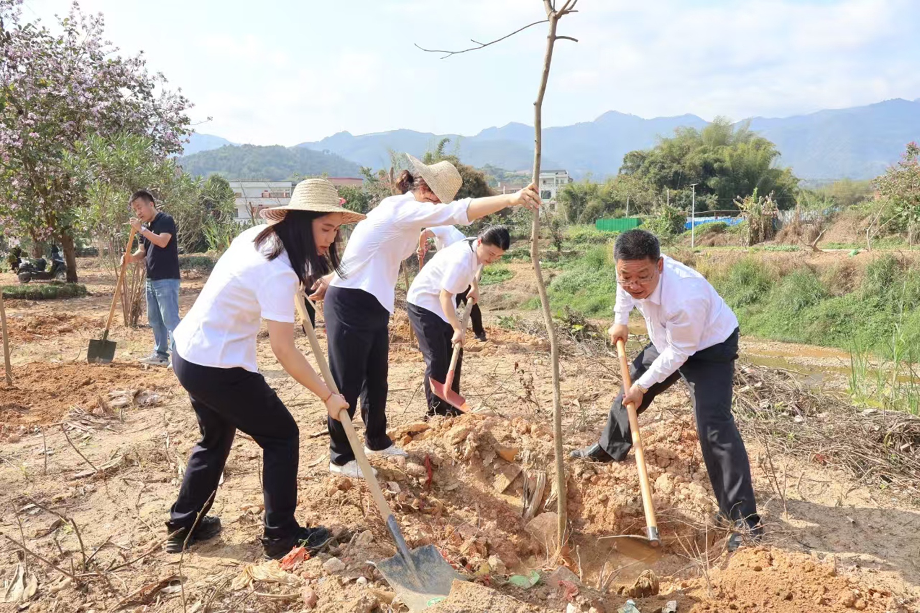 地环公司于罗定市开展主题党日暨植树活动党员齐心协力种植树苗.jpg