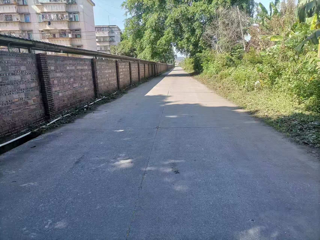 二〇二队基地管理中心开展清理公路杂草志愿活动3.jpg
